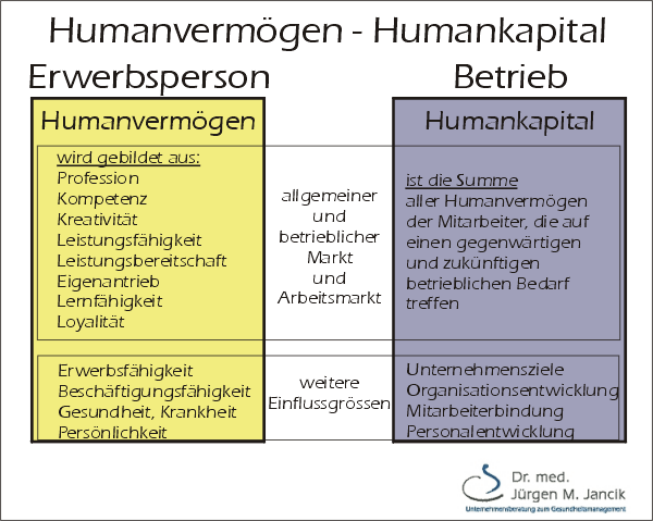 Humankapital - HumanvermÃ¶gen